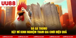 Đá gà Thomo